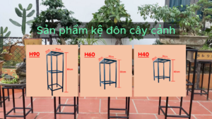 Kệ đôn cây cảnh
